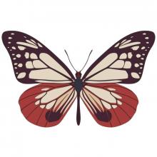 طرح سی ان سی چوب