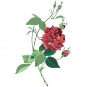 دانلود طرح سی ان سی
